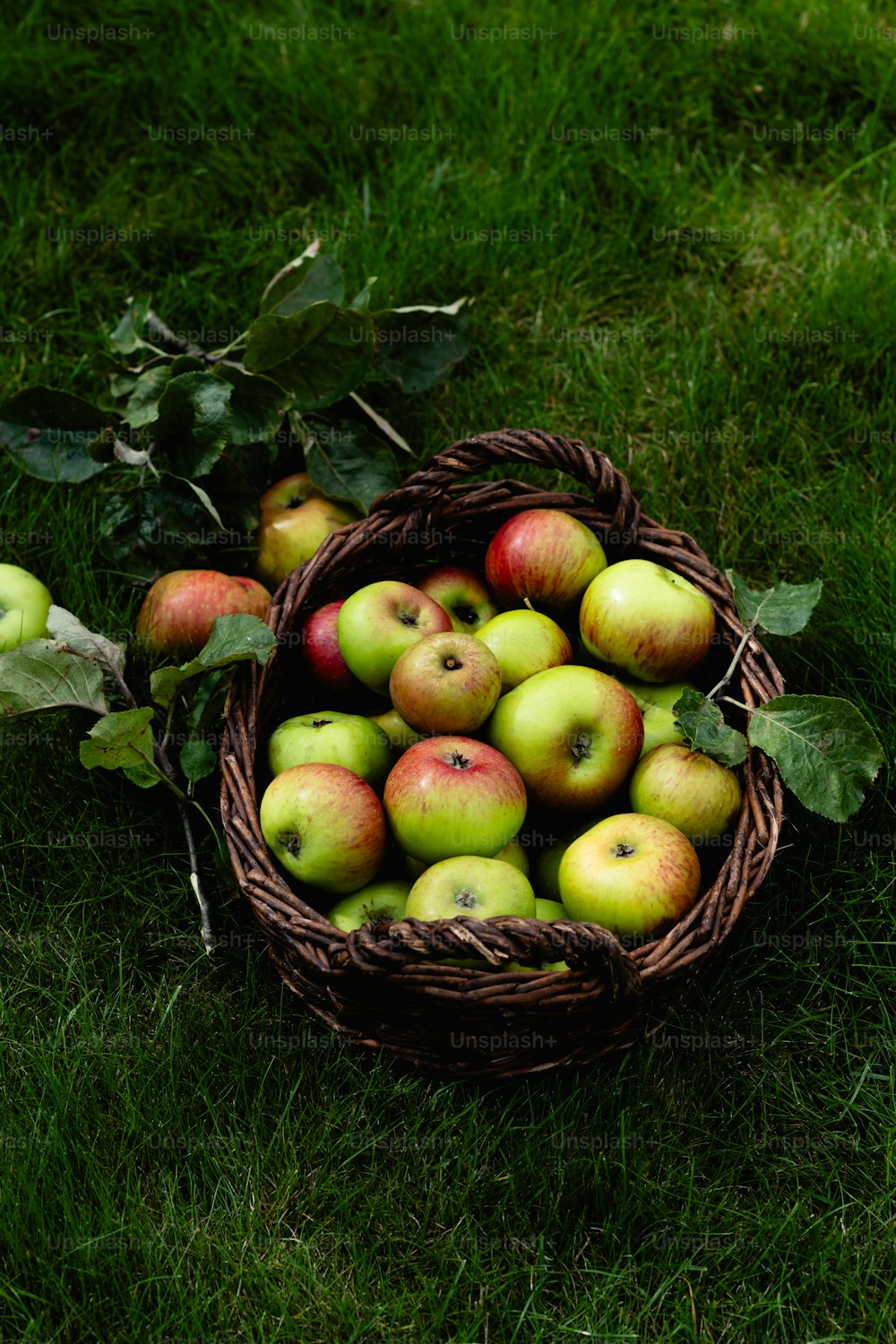 ein Korb gefüllt mit vielen grünen und roten Äpfeln