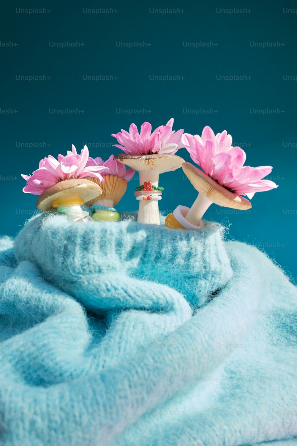a couple of pink flowers sitting on top of a blue blanket