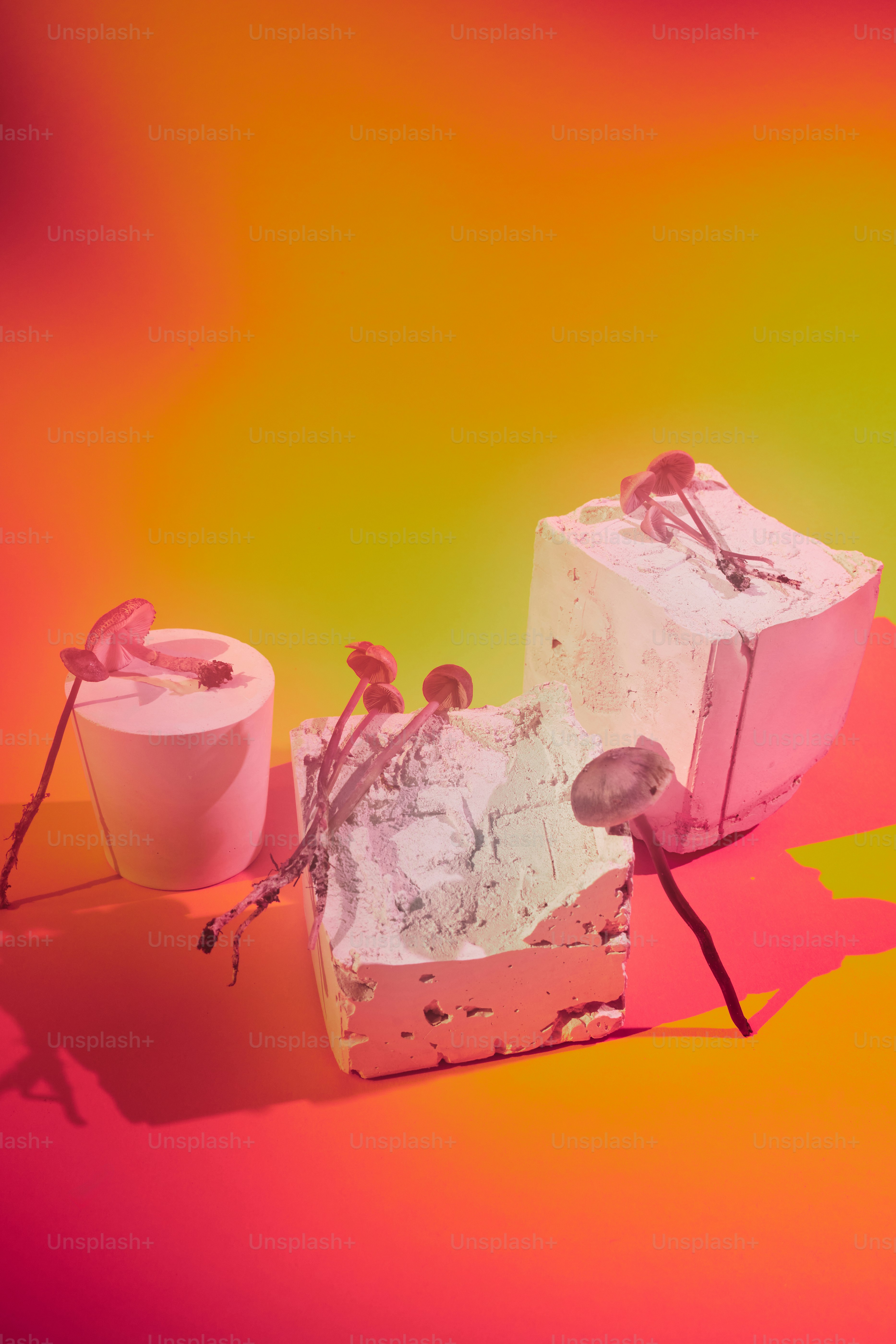 ein paar Stücke Kuchen auf einem Tisch