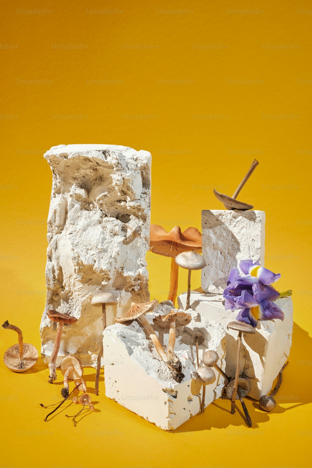 a sculpture of a rock with mushrooms and mushrooms on it