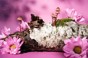 un gruppo di fiori rosa seduti in cima a un tronco
