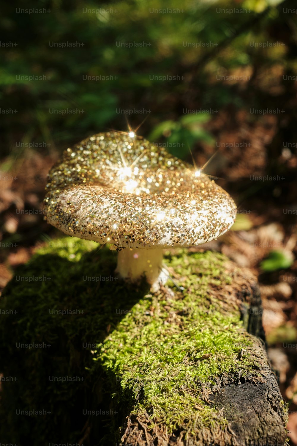 um cogumelo sentado em cima de um tronco coberto de musgo