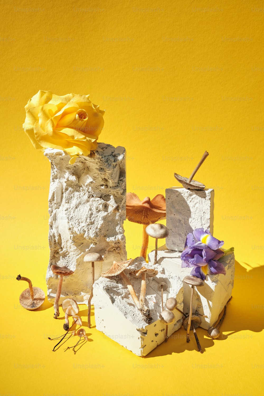 a yellow background with a sculpture of a rock and flowers