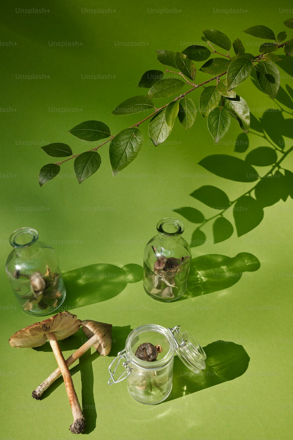 Una mesa verde cubierta con jarrones llenos de plantas