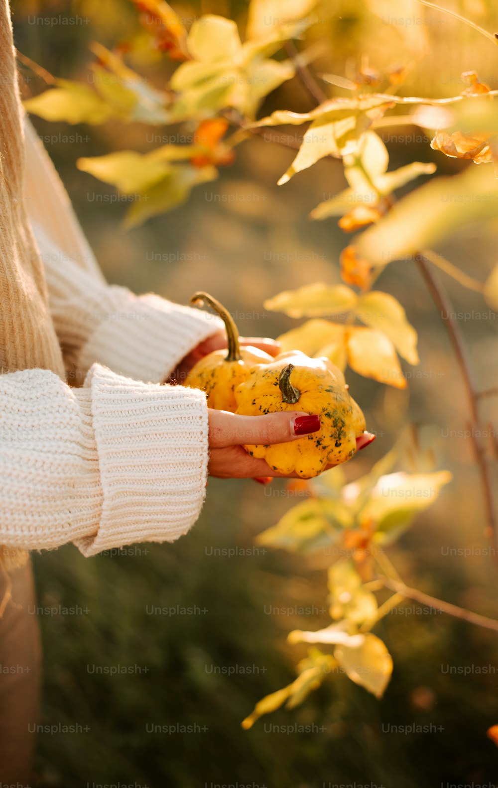 a person holding a yellow pepper in their hand