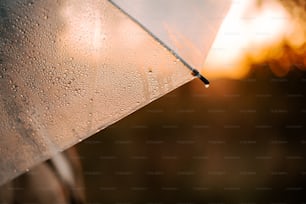 a close up of a person holding an umbrella