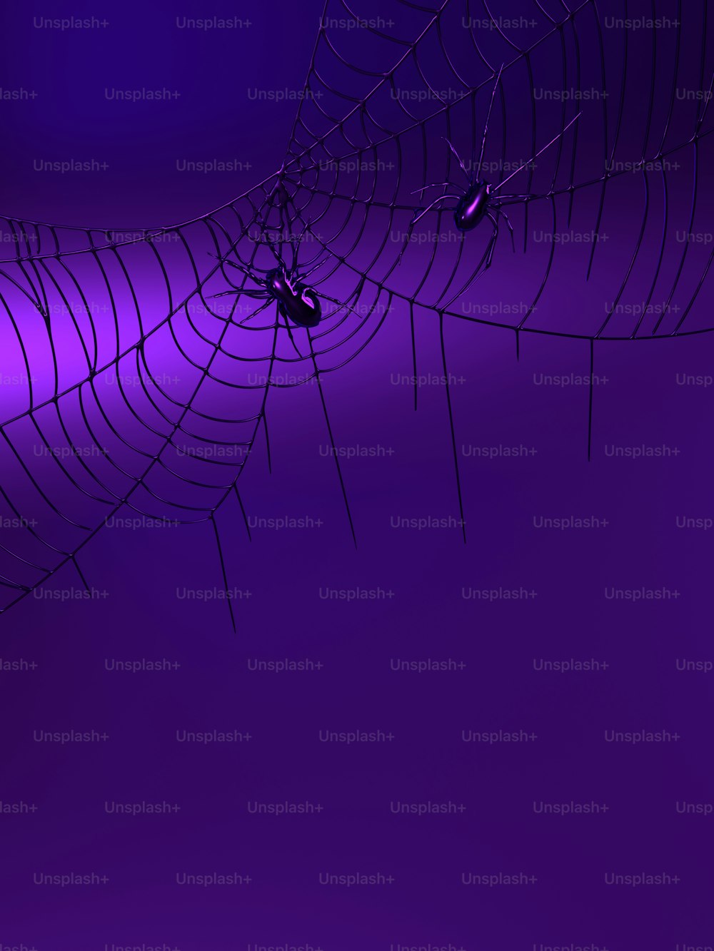 a purple background with a spider web on it