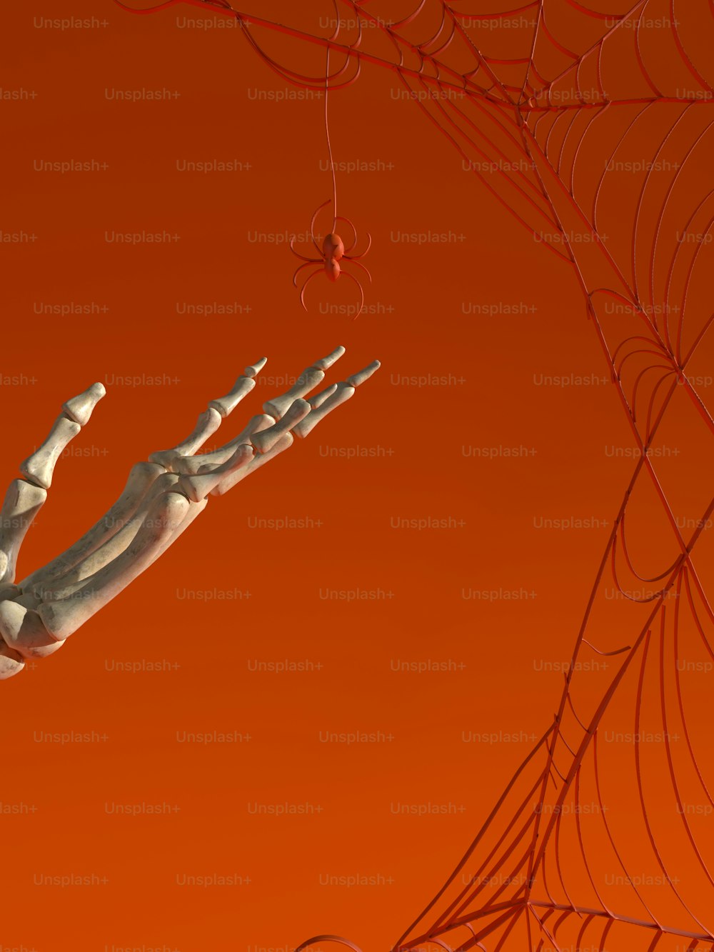 Una mano de esqueleto alcanzando una tela de araña