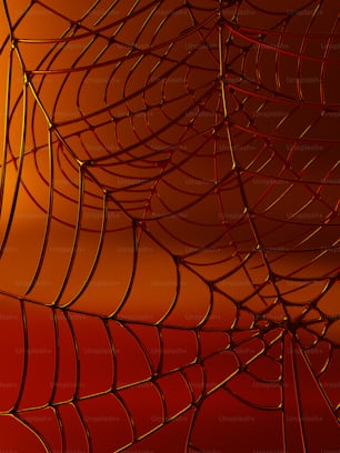 a close up of a spider web on a red background
