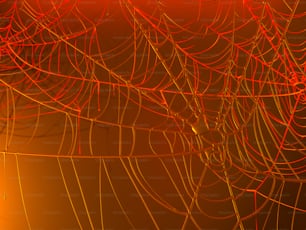 a close up of a spider web with a red light in the background