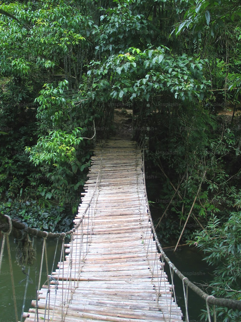 ジャングルの中の小さな橋。タイ 2004