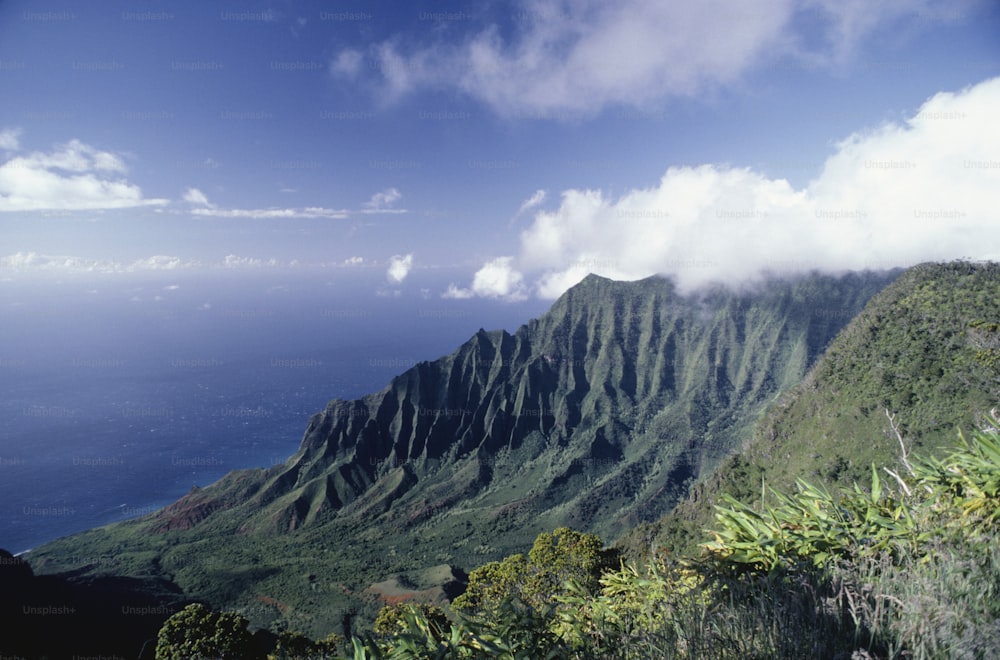 a view of a lush green mountain side