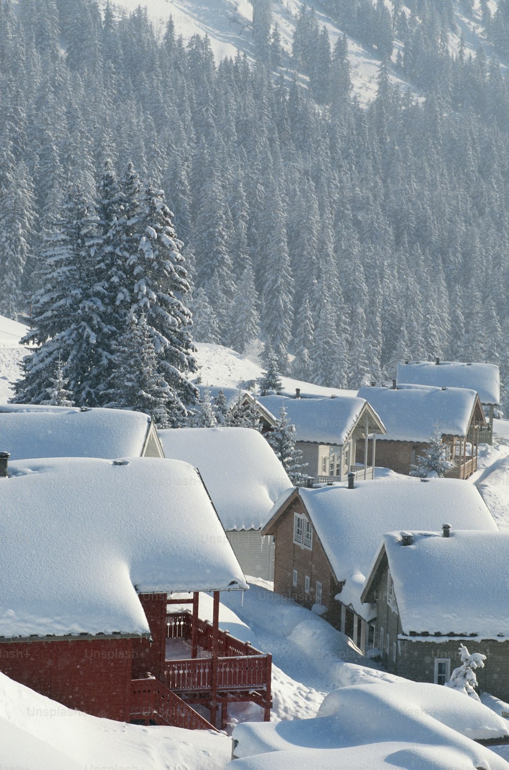 Un grupo de casas cubiertas de nieve con árboles al fondo
