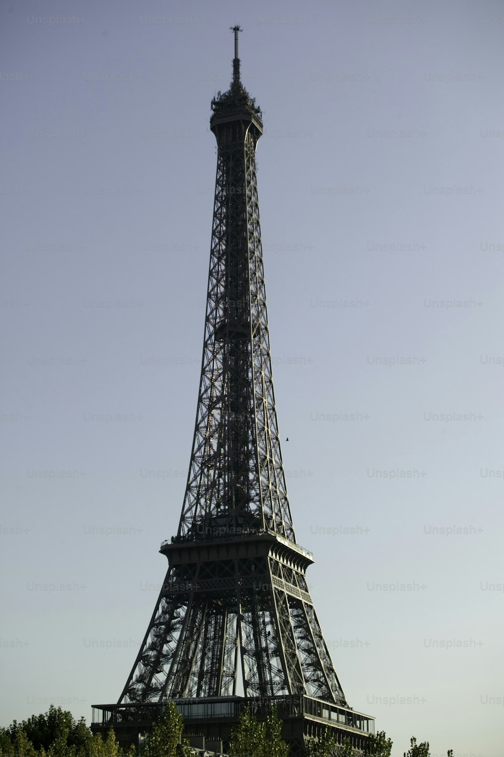 the eiffel tower towering over the city of paris