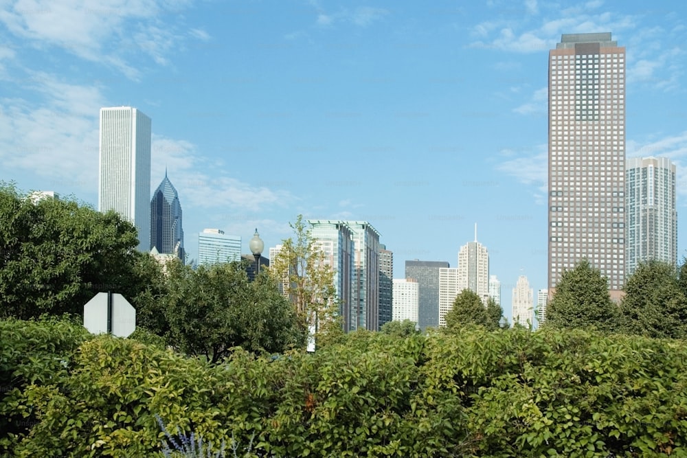 a view of a city with tall buildings in the background