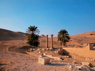 Une scène désertique avec des palmiers et des ruines