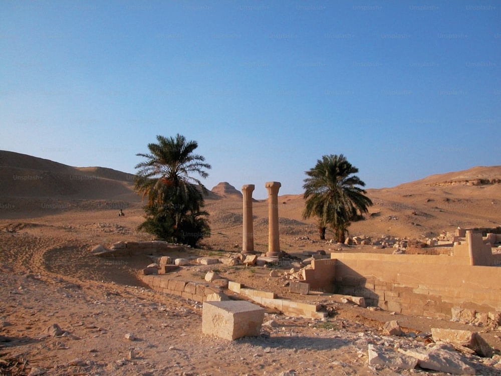 a desert scene with palm trees and ruins