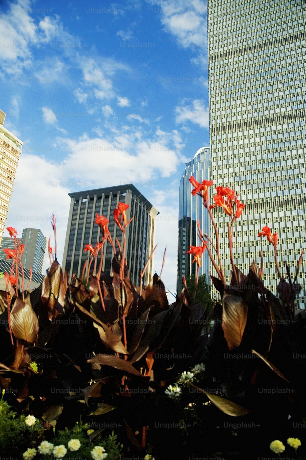 a view of a city with tall buildings in the background