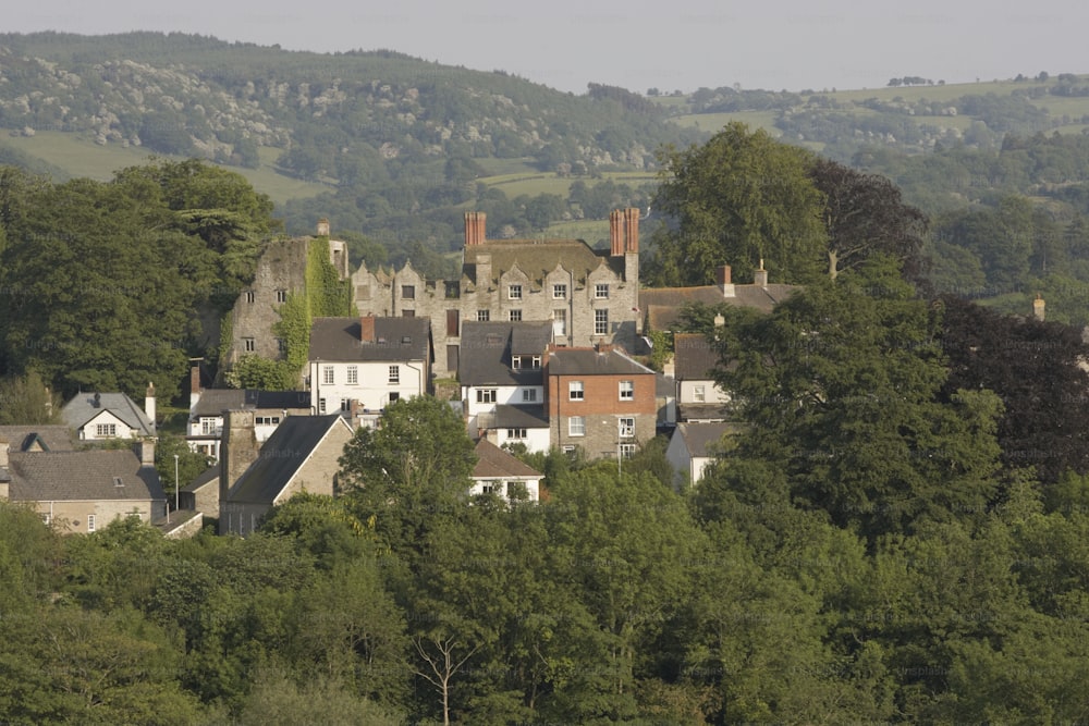 Une grande maison entourée d’arbres au milieu d’une forêt