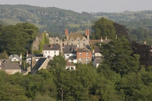 a large house surrounded by trees in the middle of a forest