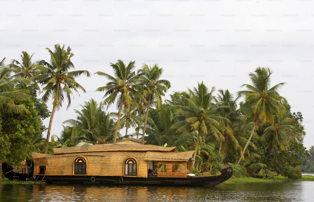 a house boat on a river surrounded by palm trees