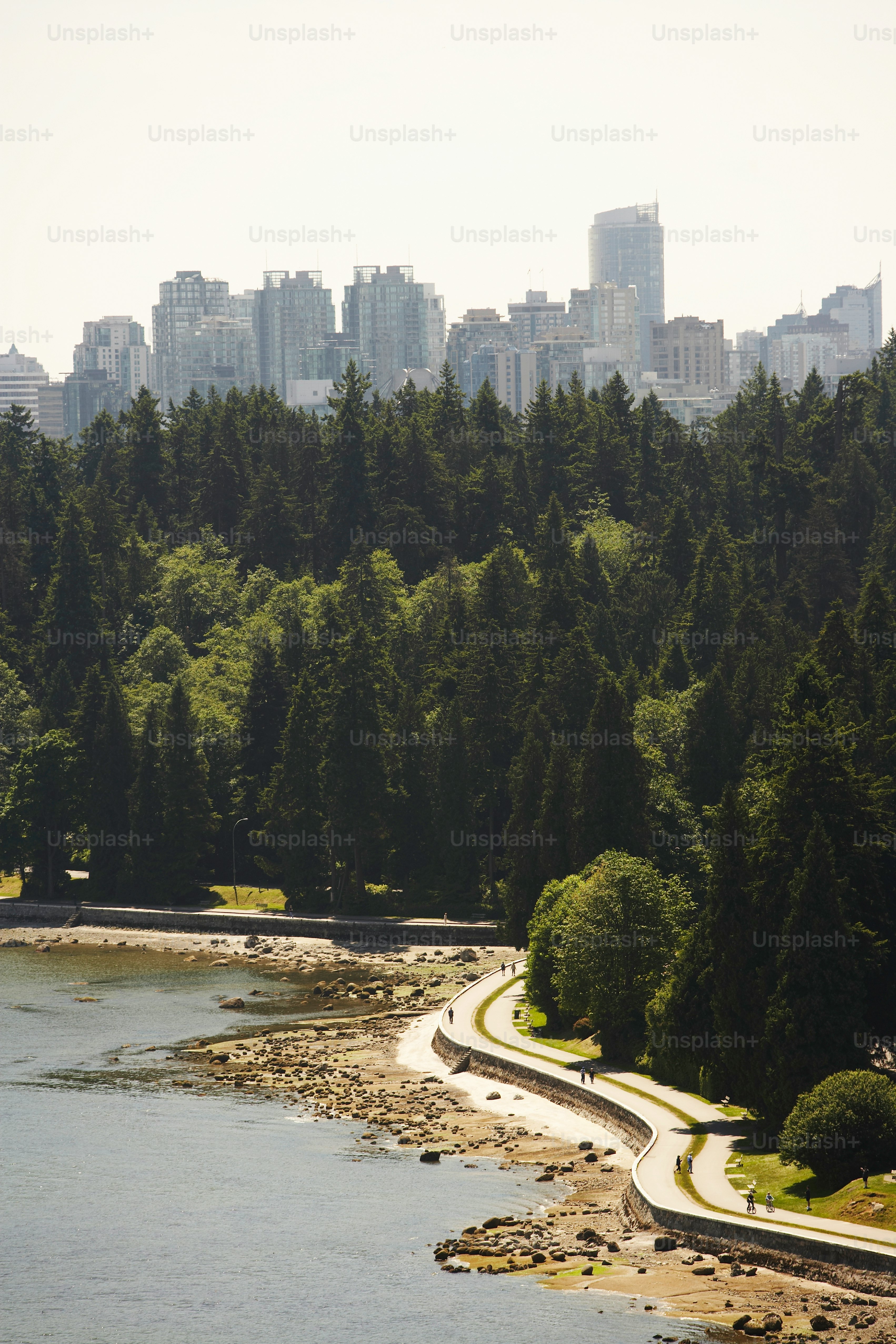 City Path Pictures | Download Free Images on Unsplash