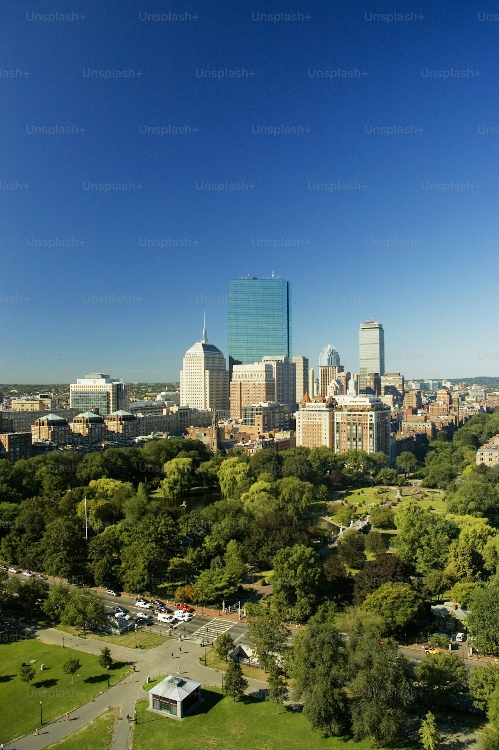 a view of a city with a lot of tall buildings