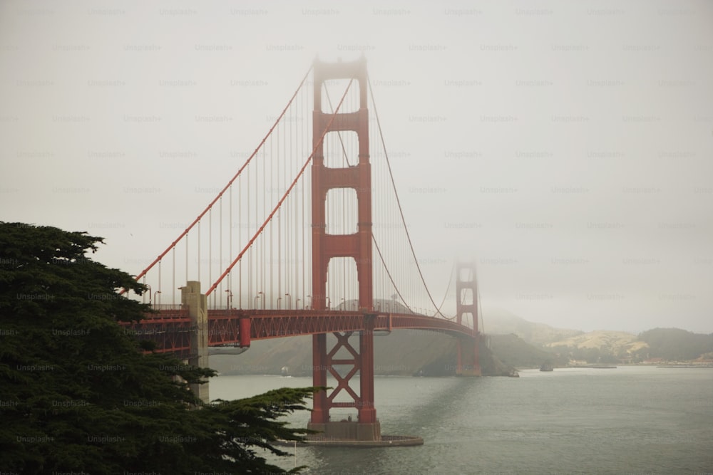 a foggy view of the golden gate bridge