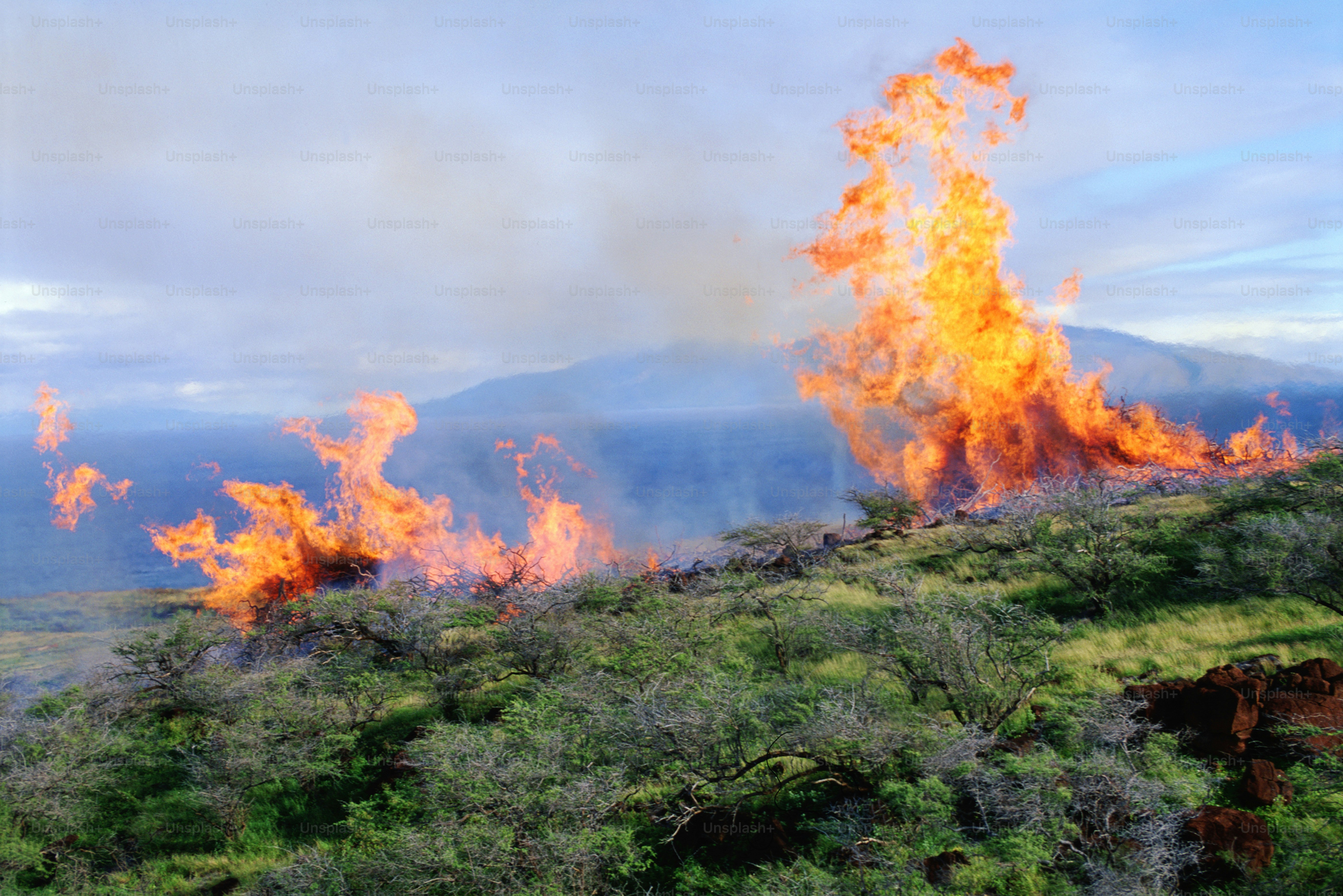 a large fire blazing on top of a lush green hillside