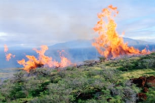a large fire blazing on top of a lush green hillside
