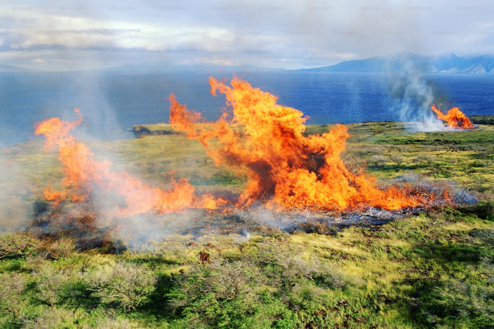 a field with a lot of fire in it