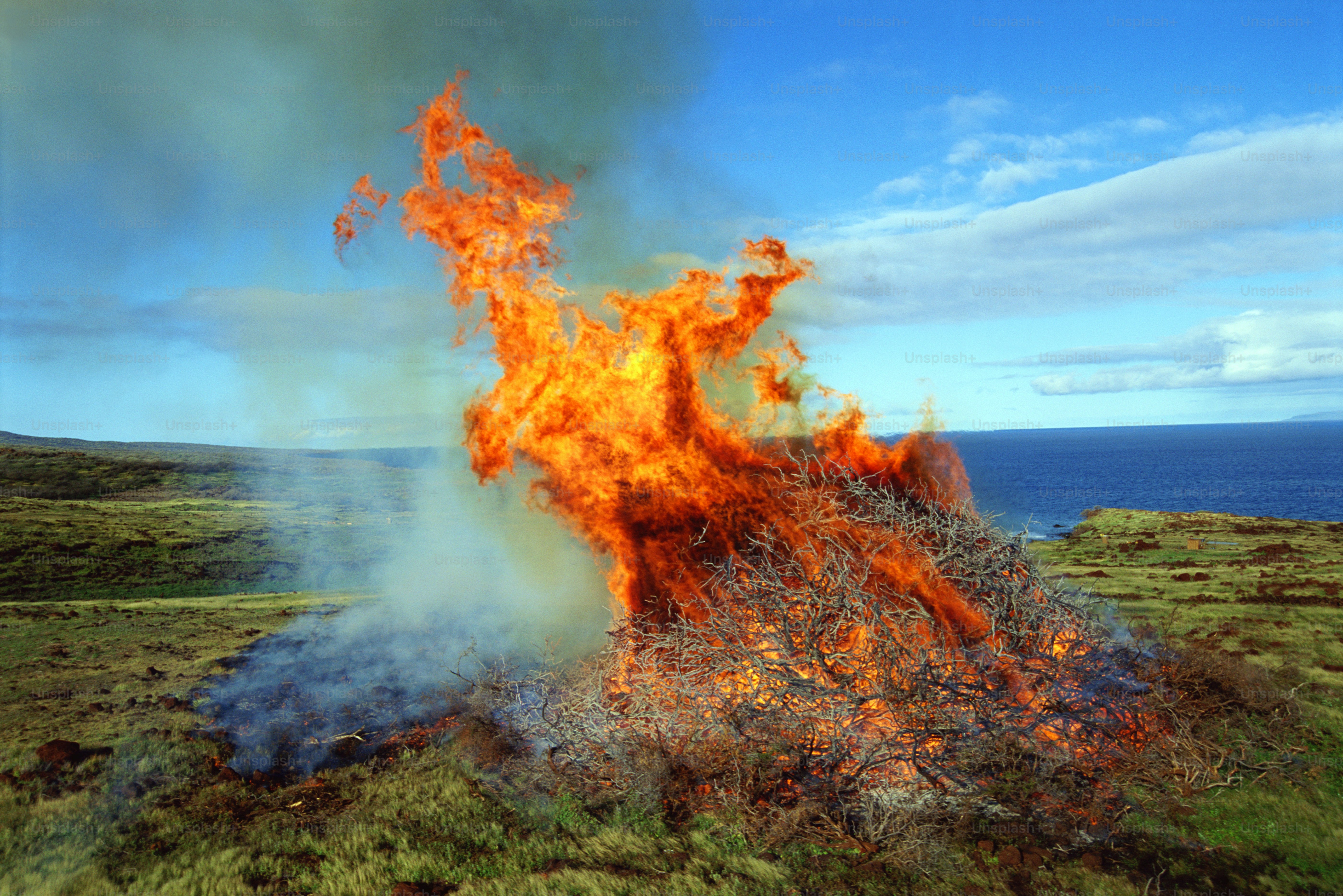 Un grande fuoco sta bruciando in mezzo a un campo