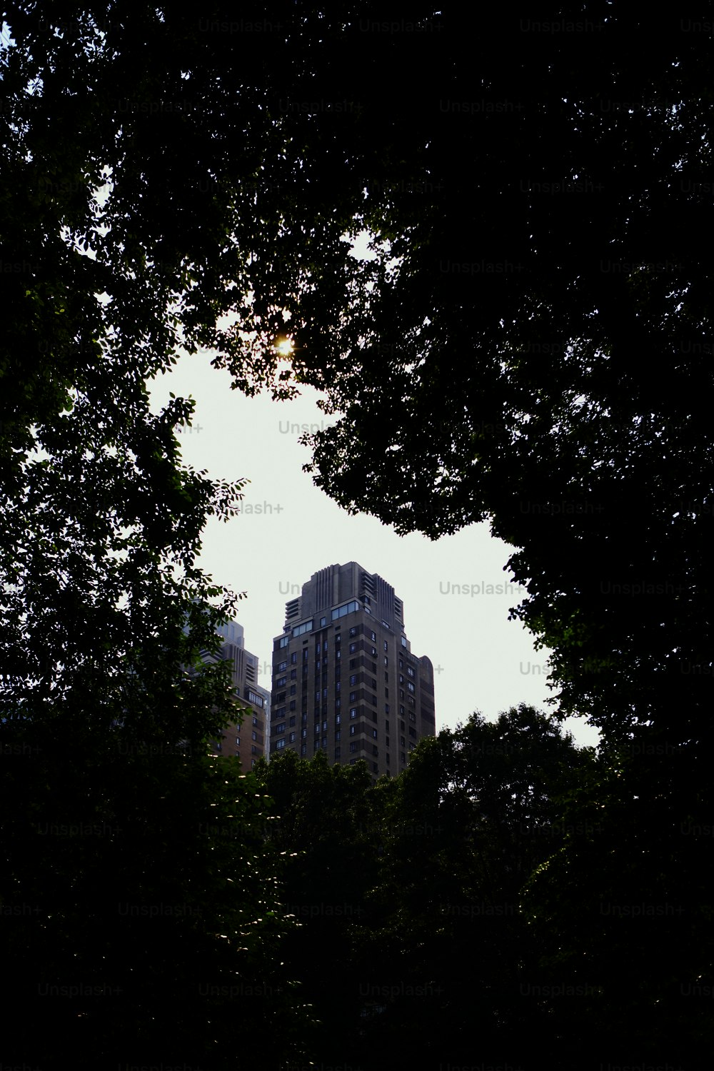 uma vista de um edifício através de algumas árvores