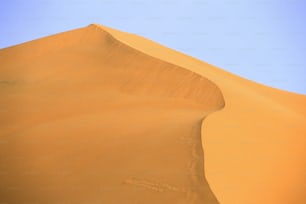Ein einsames Kamel, das mitten in einer Wüste steht
