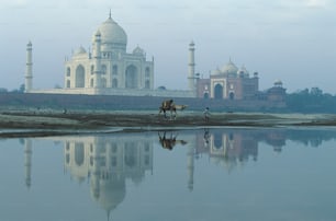 a man riding a camel near a body of water