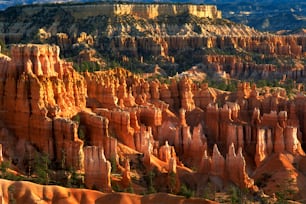 Una vista panoramica degli hoodoos di un canyon