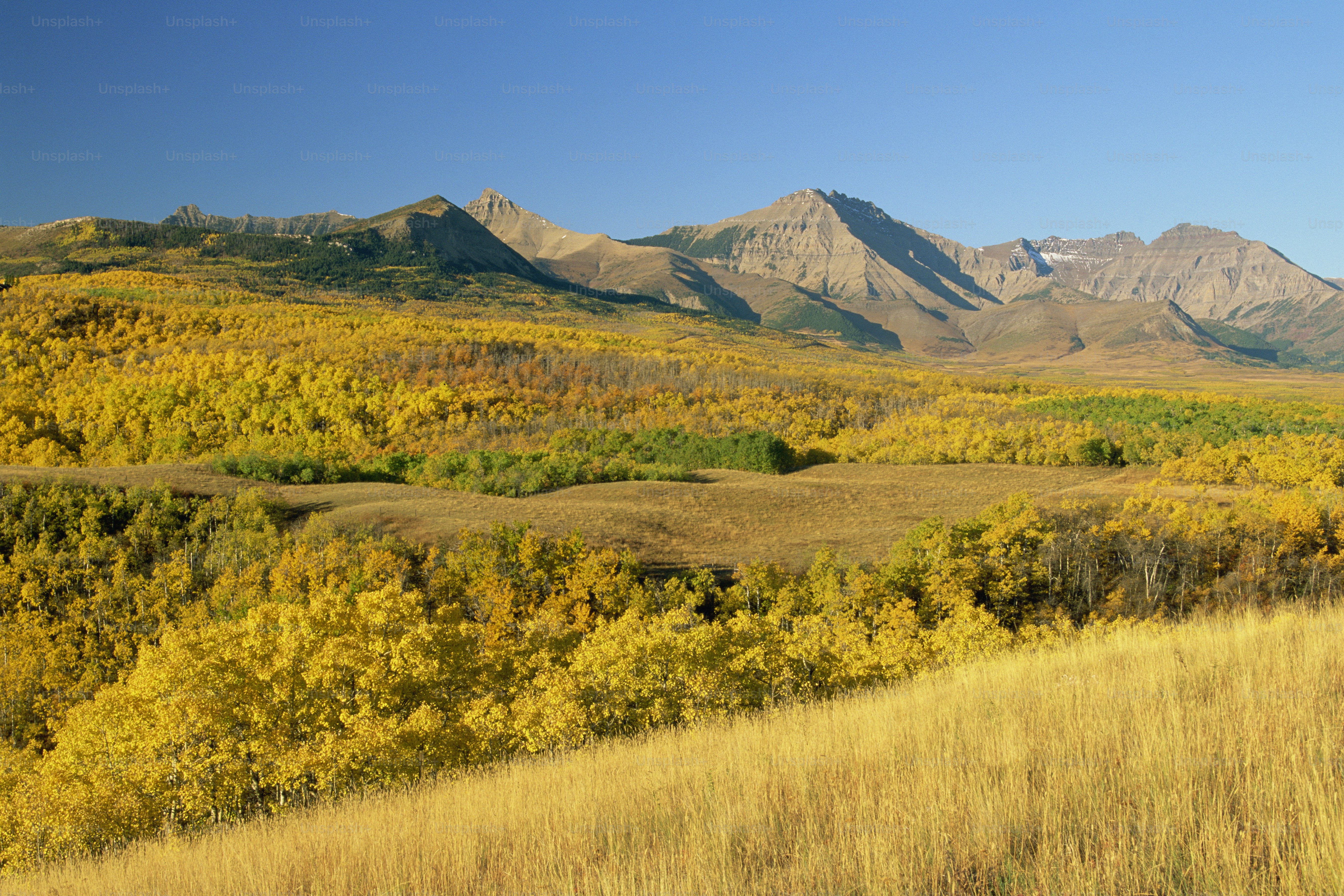 Prairie Ridge, Washington