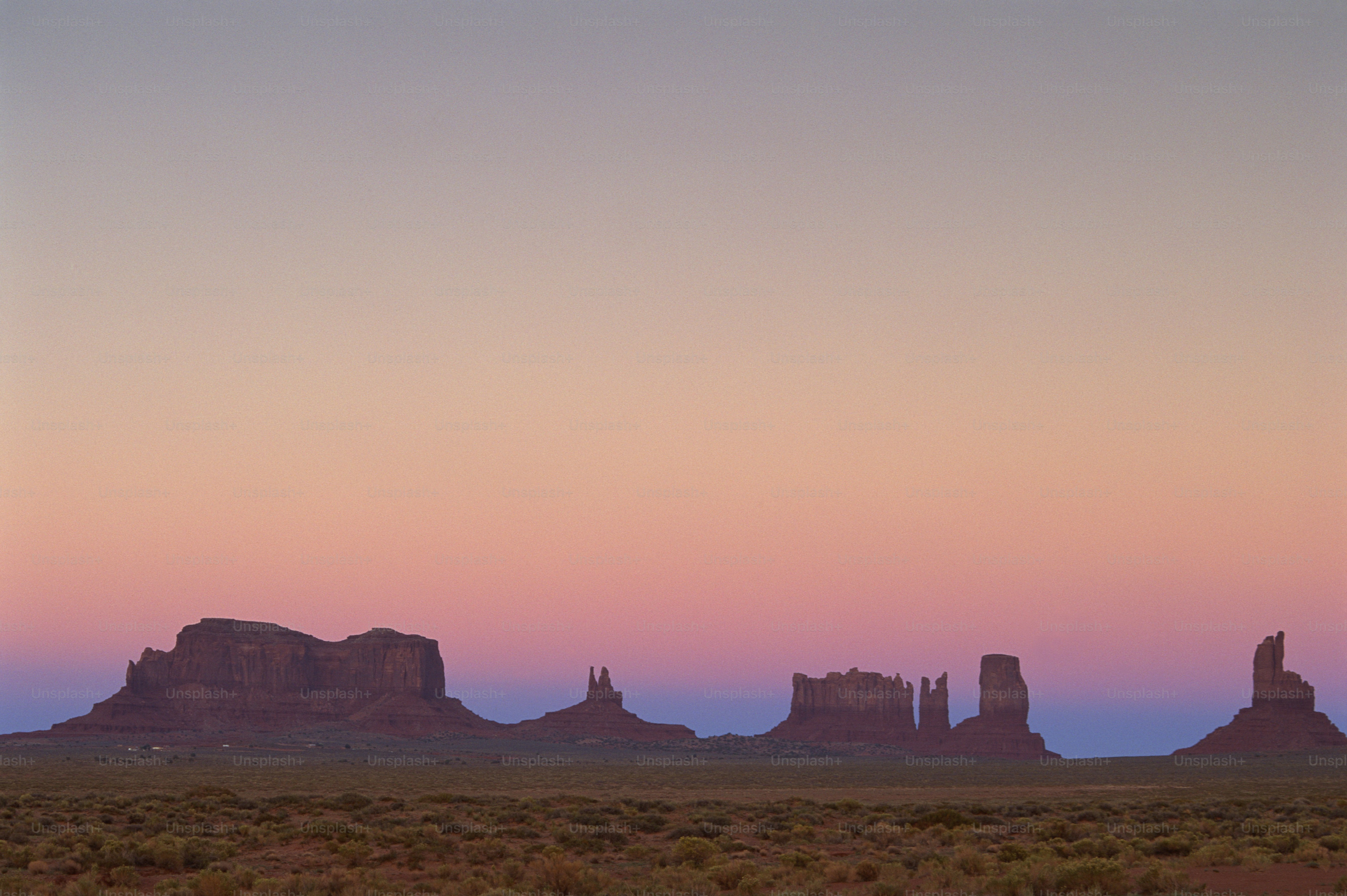 a lone horse is standing in the desert
