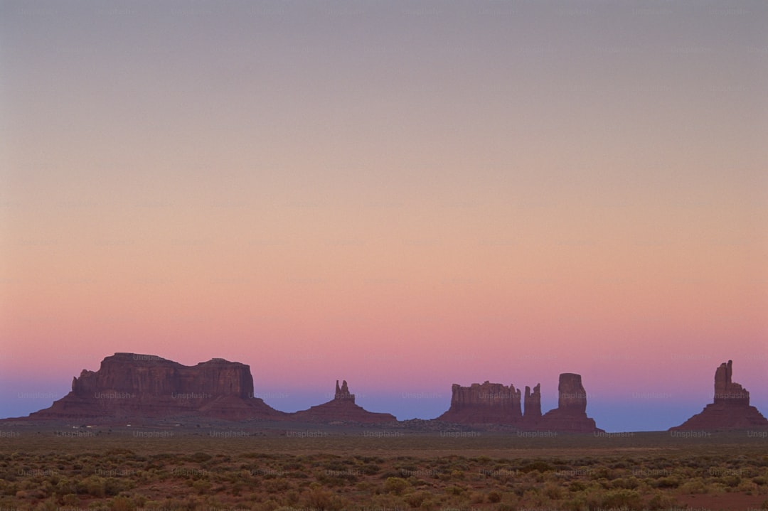 a lone horse is standing in the desert