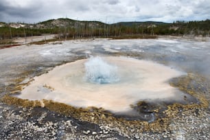 a blue and white substance is in the middle of a pool of water