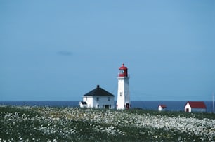 a white and red lighthouse on a grassy hill