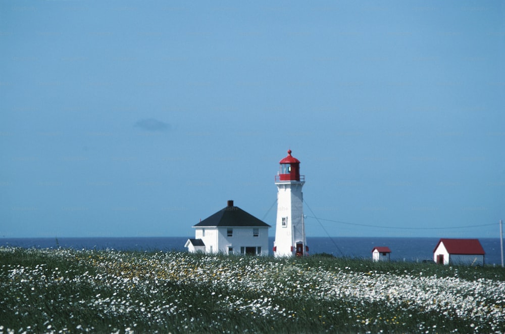 a white and red lighthouse on a grassy hill