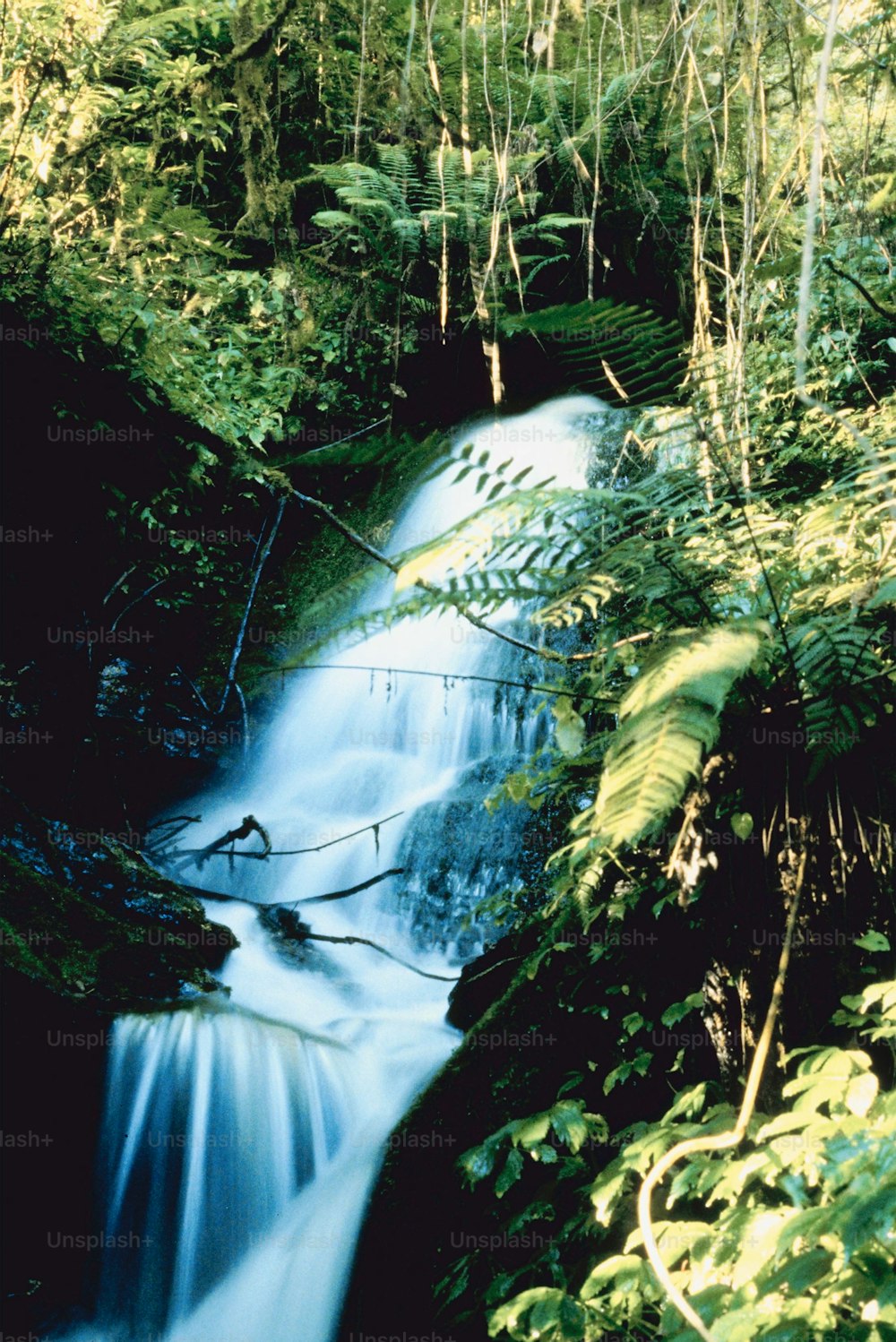 a small waterfall in the middle of a forest