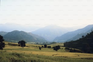 um campo gramado com montanhas ao fundo