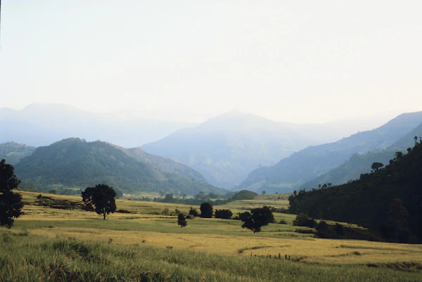 Kidepo Valley National Park