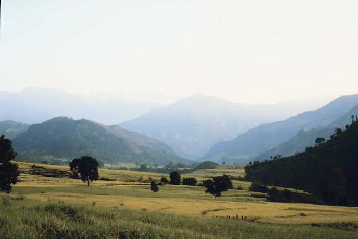 Kidepo Valley National Park