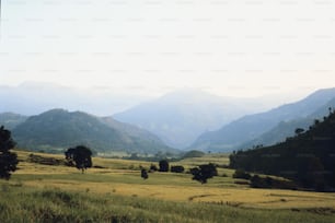 a grassy field with mountains in the background