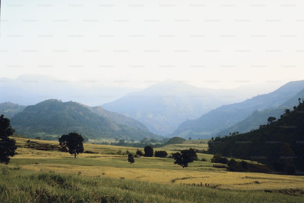 a grassy field with mountains in the background