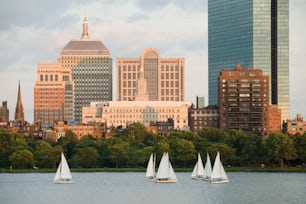 a group of sailboats floating on top of a lake