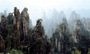 Un groupe de rochers et d’arbres dans une région montagneuse